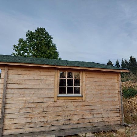 Petit Chalet Nature Les Rousses Exterior photo