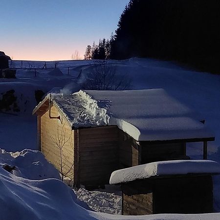 Petit Chalet Nature Les Rousses Exterior photo